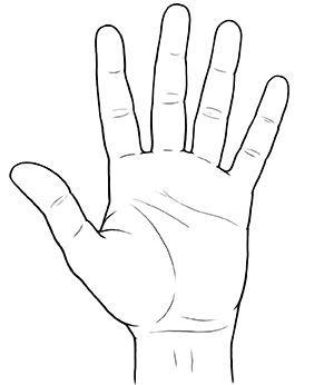 Vista de la palma de una mano con los dedos extendidos separados.