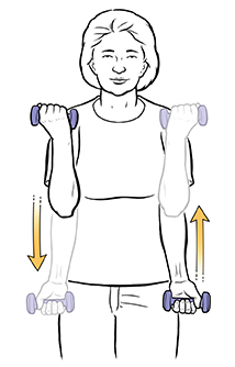 Mujer que hace un ejercicio de flexión de bíceps con mancuernas.